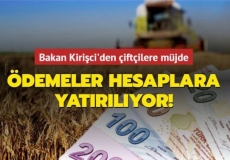 Tarım Bakanı Kirişci: Destek ödemeleri öne çekildi